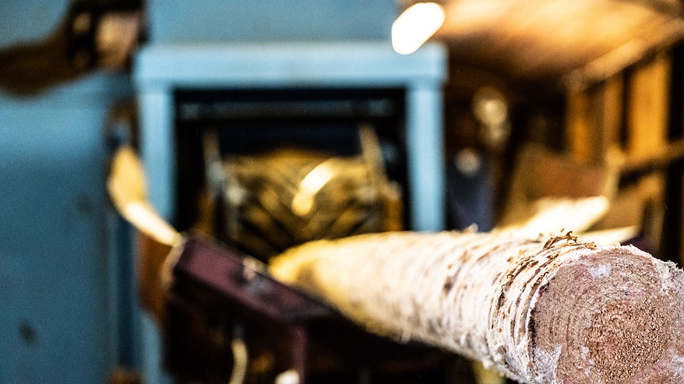 Langmorkje Almenning produksjon av trelast. Tømmer fra skog til planke. Miljøvennlig produ