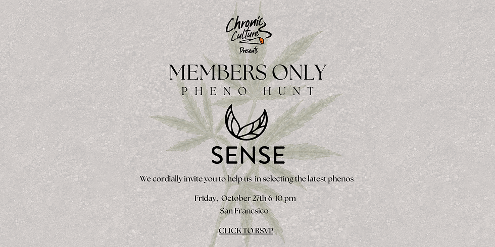 Members Only Pheno Hunt: Sense