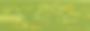 safe-yakima-banner2.png