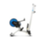 ERG700