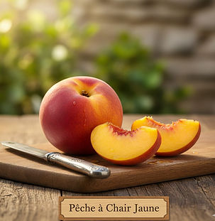 pêche chair jaune_edited.jpg