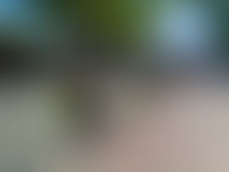 1880-penkit Naantalissa