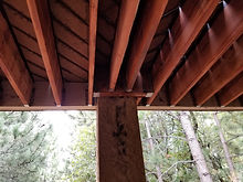 20170924_122337.jpg