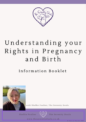 Birthrights Booklet Image.png