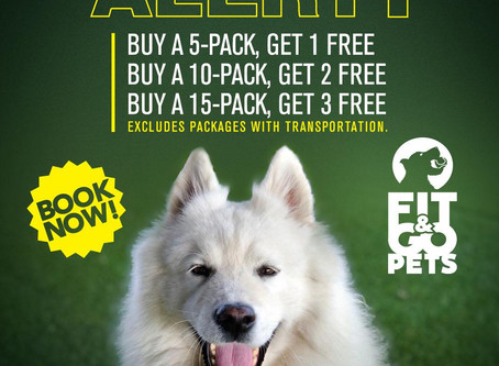 PROMO ALERT: Get Free Daycare Passes