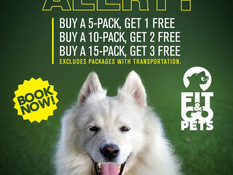 PROMO ALERT: Get Free Daycare Passes
