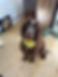 IMG_5103.jpeg