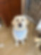 IMG_5117.jpeg