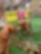 IMG_4227.jpeg
