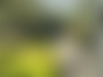 Zelf aan het stuur van je leven... wie anders?