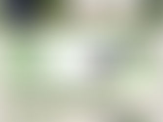 開業日決定のお知らせ