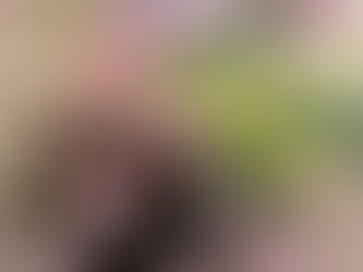 梅