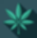 Marijuana_edited.jpg