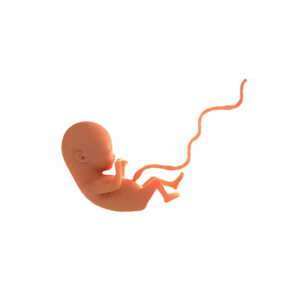 Untitled design-8.png