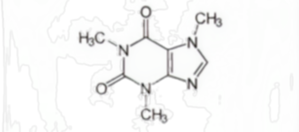c1b33011-0601-4ee3-9a4d-1e25b05b78ff_edited.png