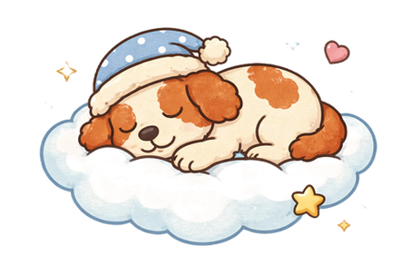 Preparing for Your Australian Labradoodle Puppy