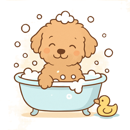 The Ultimate Australian Labradoodle Grooming Guide