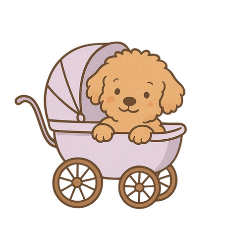 What You Need to Know Before Getting an Australian Labradoodle Puppy