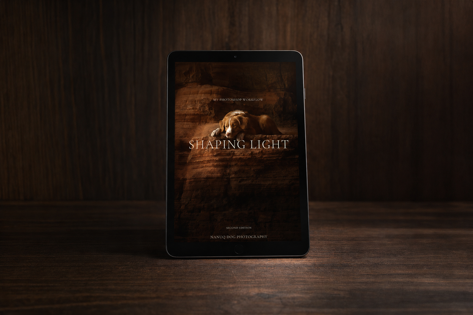 Ebook Shaping light