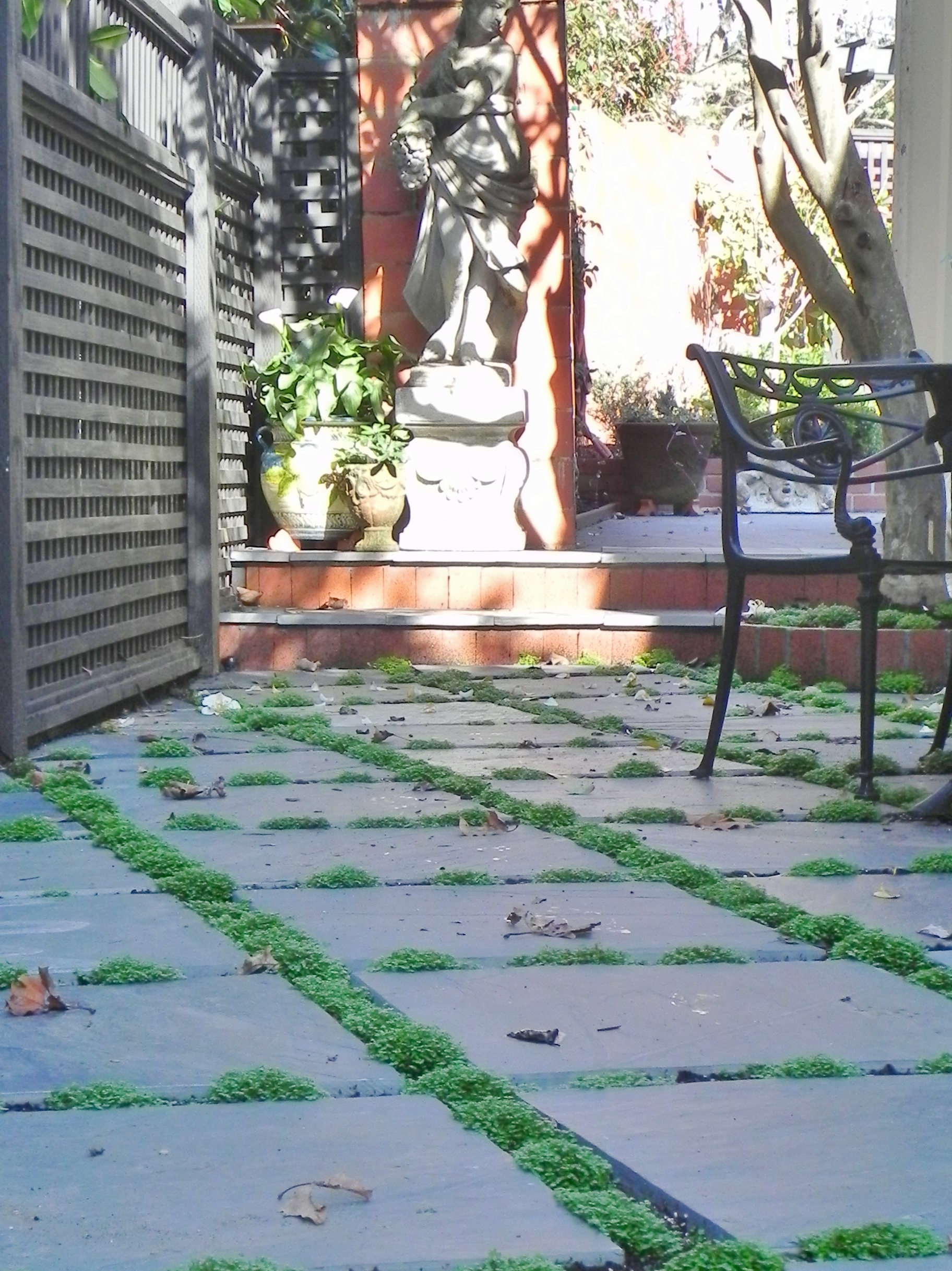 Gigi McAdam Landscape Design. Burlingame's premier landscape designer