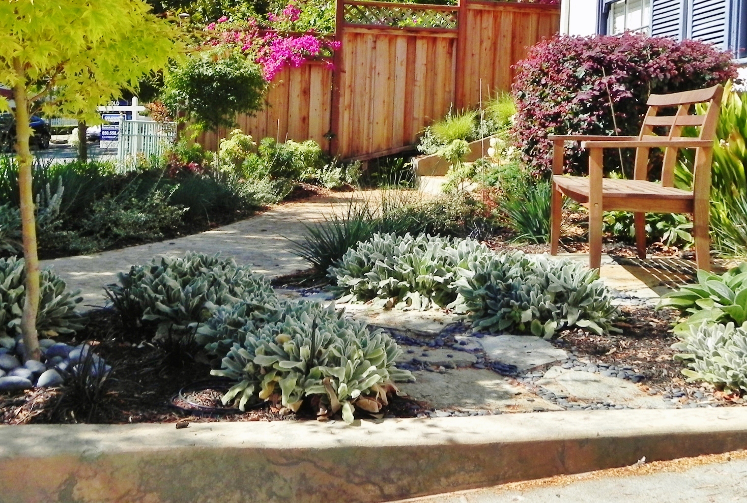 Gigi McAdam Landscape Design. Burlingame's premier landscape designer