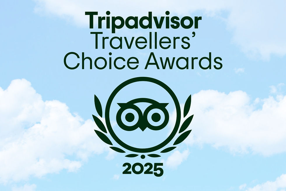 Two Years of Tripadvisor’s Travellers’ Choice Award!
