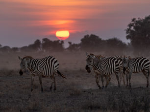 Ending 2025 with Magic