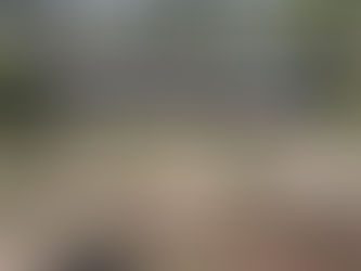 Safari Ethics: Why Respect for Nature Must Come First