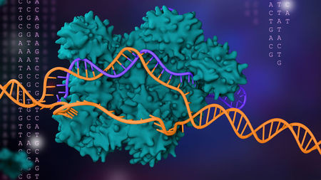 What is CRISPR?