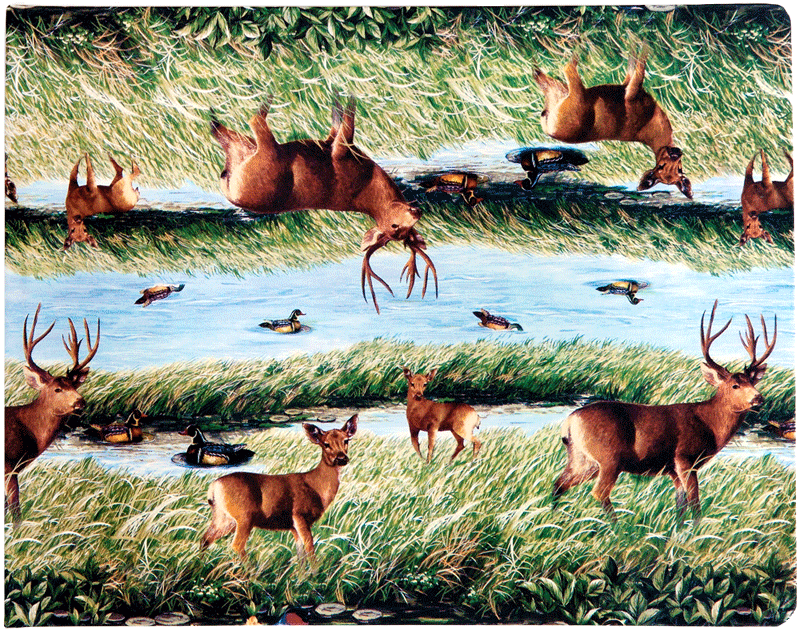 Kitchen Stories from the Balkans