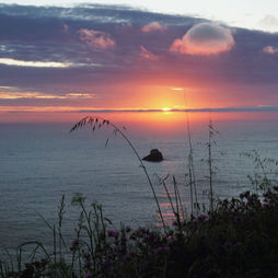 Soulmates of the Camino Portugués
