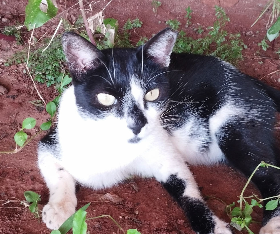 WhatsApp Image 2024-02-14 at 03.05_edited