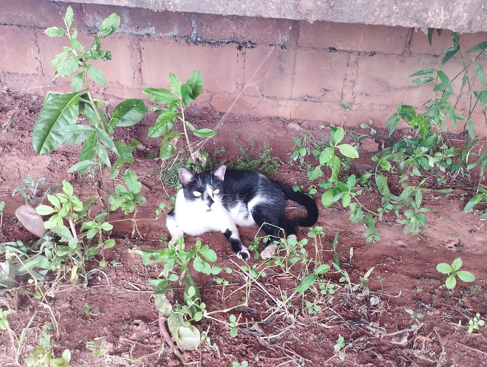 WhatsApp Image 2024-02-14 at 03.05.15 (1)