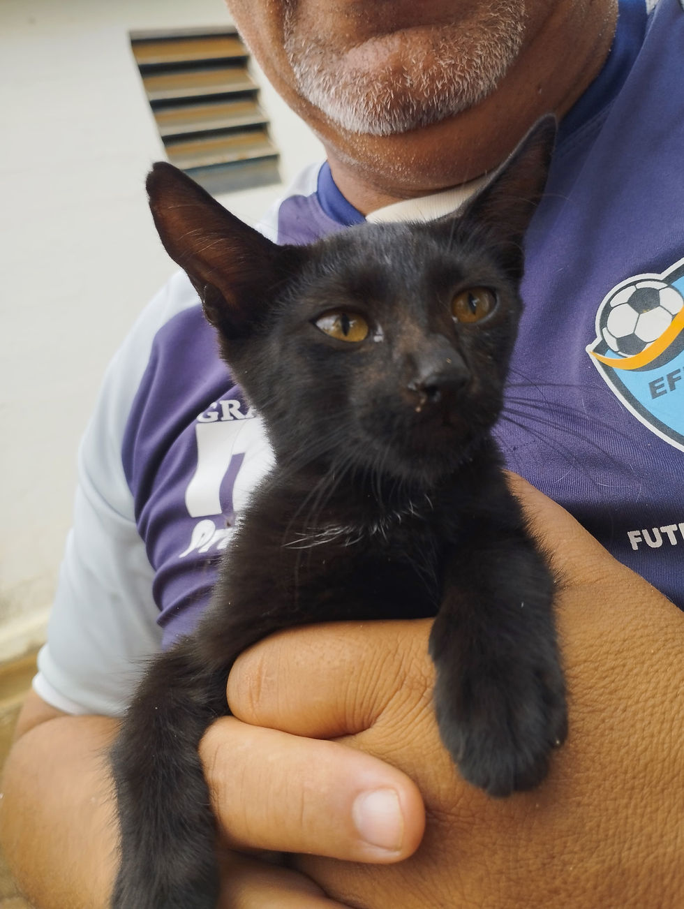 WhatsApp Image 2024-02-13 at 10.17.38