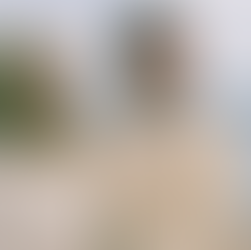 JUST THE TWO OF US // L’AMOUR ET LES FORÊTS