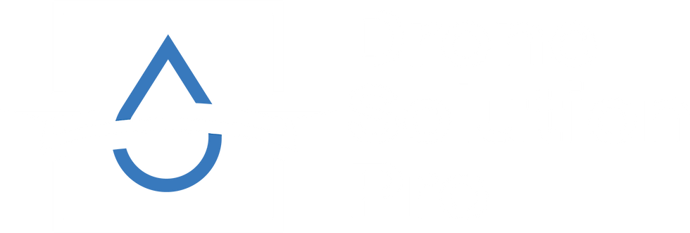 DSP LOGO WHITE.png