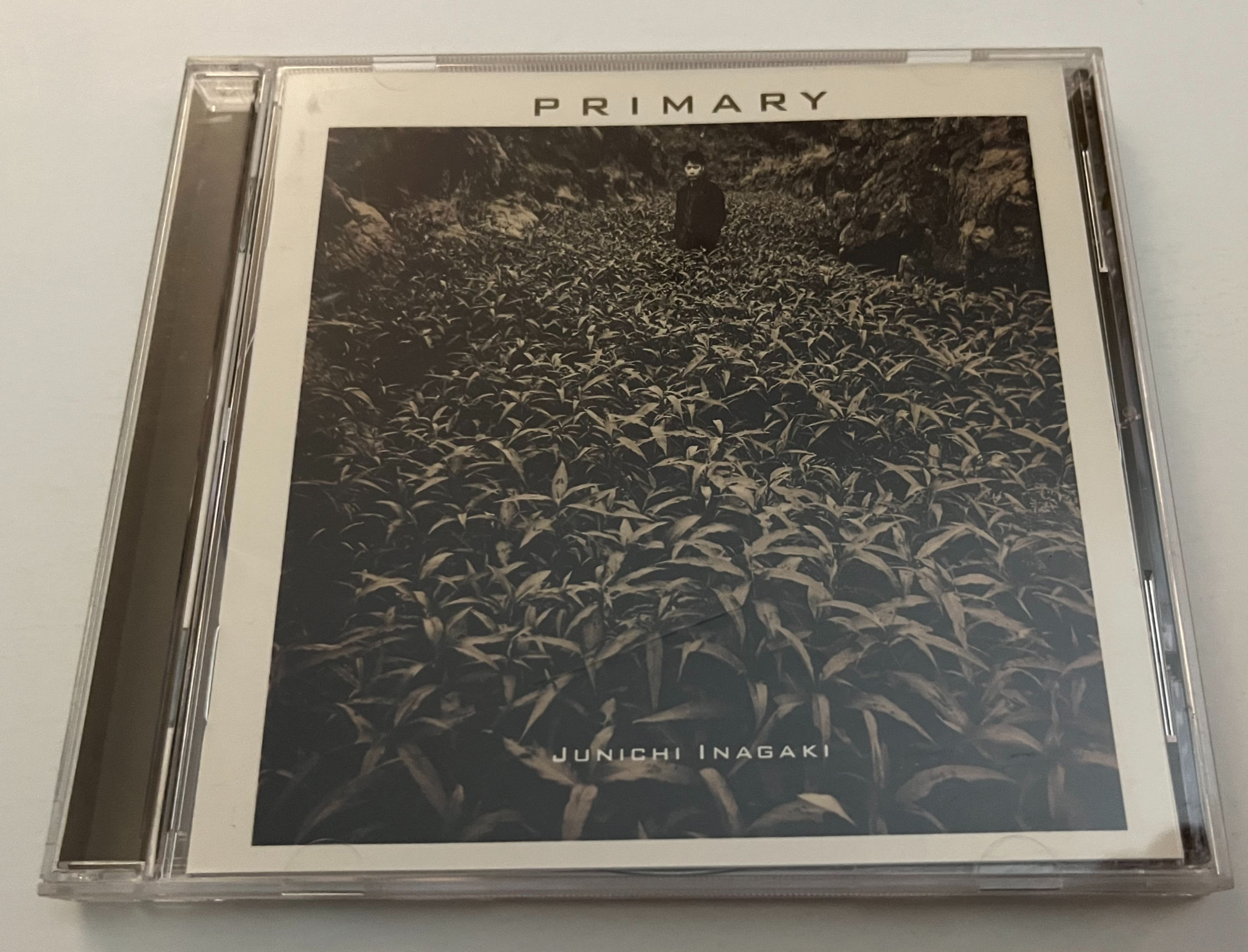 Junichi Inagaki Primary Japan CD 1996 BMG