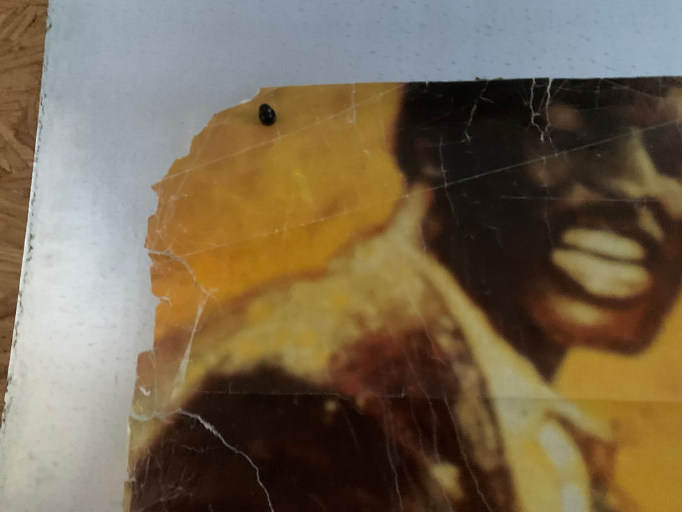 Thumbnail: Little Richard Huge 40"x60" 1986 Promo Record Store Poster P1/4