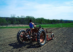 farmer Amy