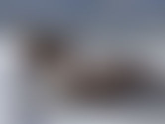 A Winter Day in Yellowstone