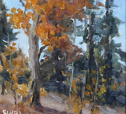 Aspen family adj.jpg