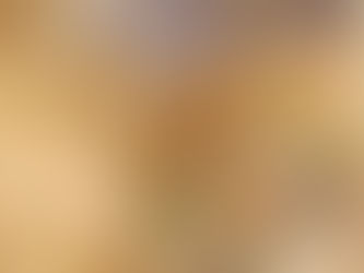 Yellowstone Artist Series - WIDFORSS