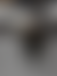 BETA 0.1 DE WARFLY YA DISPONIBLE