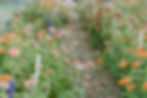 DSC_8320.jpg