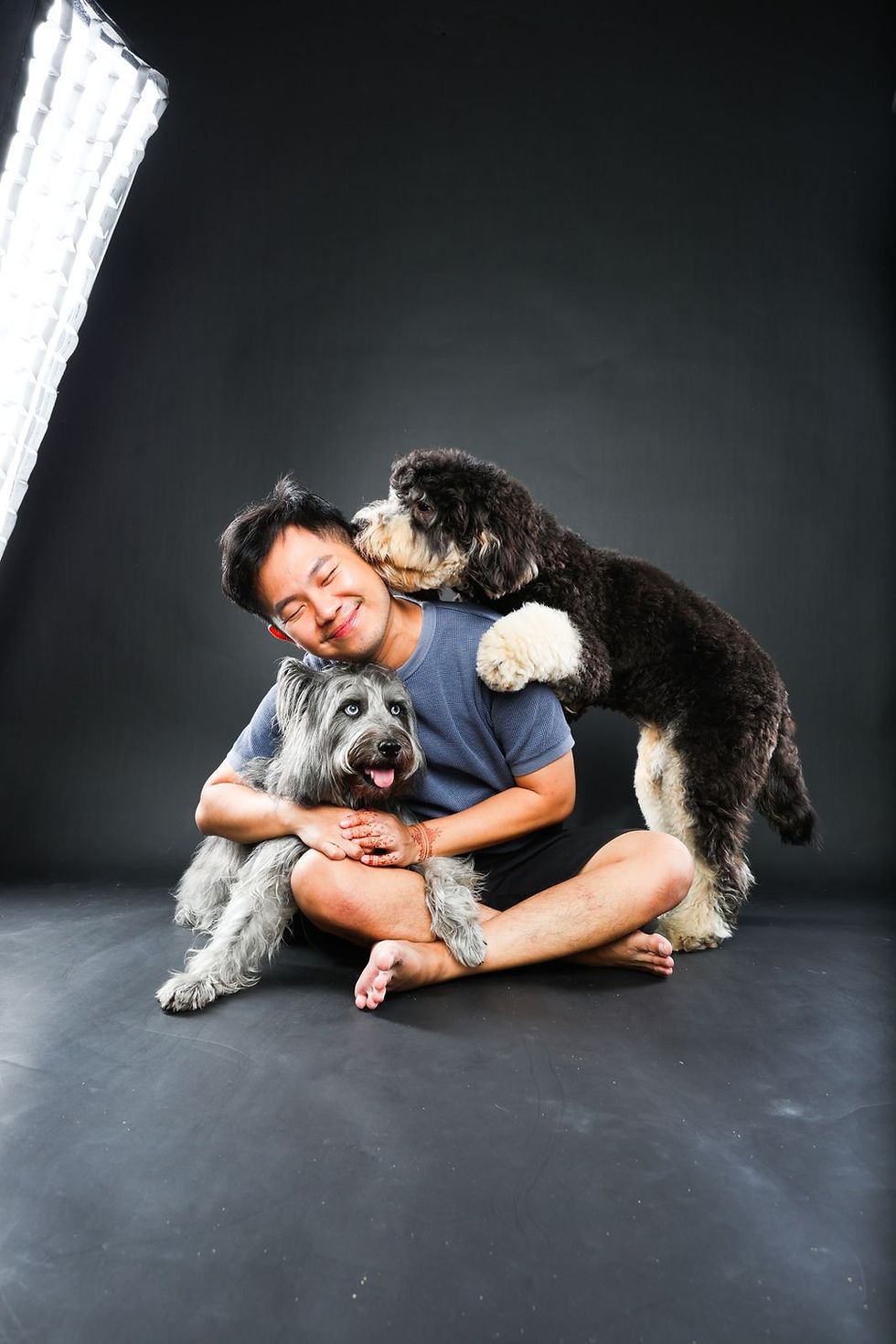 Professional pet pawtography session set up with fun props and flattering lighting.