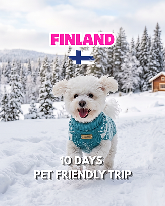 Finland (1).png
