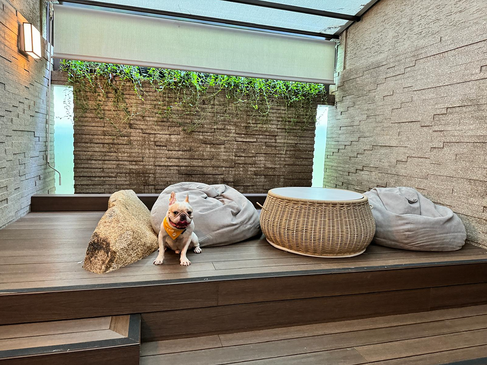 Source: https://www.todayonline.com/8days/pet-friendly-hotel-review-my-dog-checked-oasia-resort-sentosa-staycation-heres-how-it-went-2469951