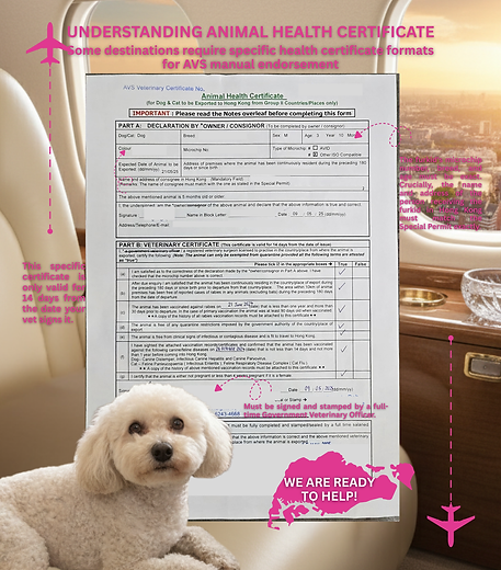 Health Cert HK Sample.png