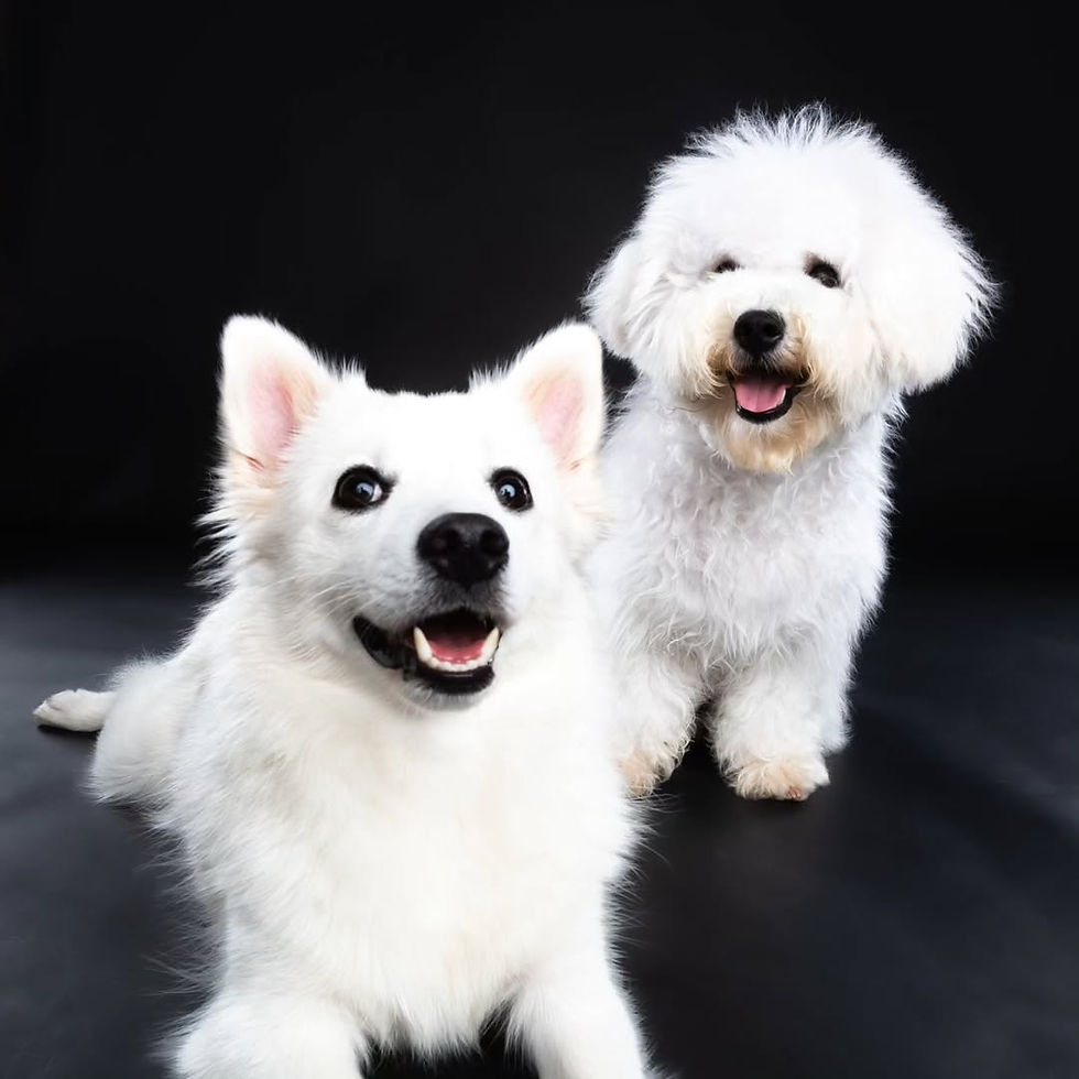 Who do you think won the friendly tussle Do not be deceived by the cute faces. Loving hug