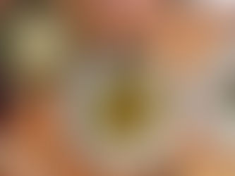 MICHELIN Guide Honors the Valley’s Top Dining Destinations